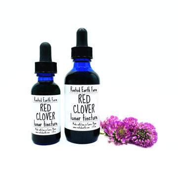 red clover extract