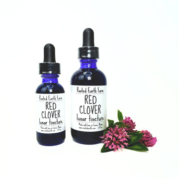 red clover tincture, gluten free