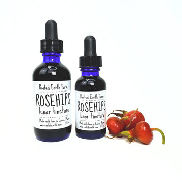 rosehip tincture extract