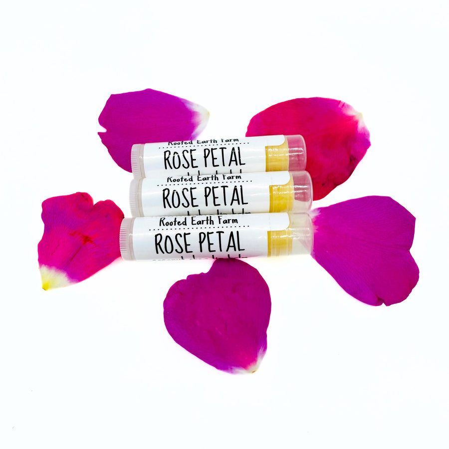 shea butter natural lip balm