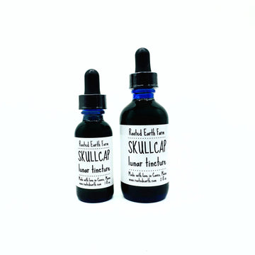 skullcap tincture, skullcap extract, gluten free