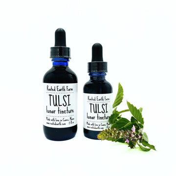 tulsi tincture, holy basil extract