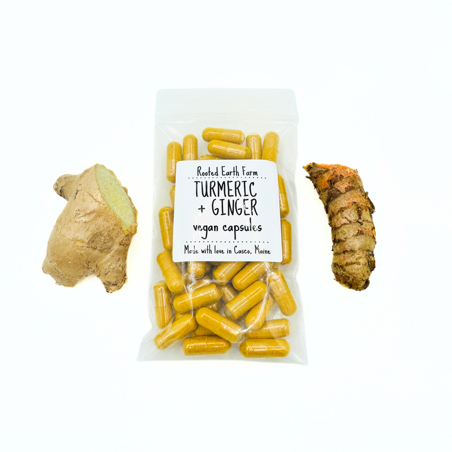 turmeric and ginger supplement