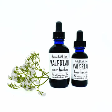 valerian root tincture