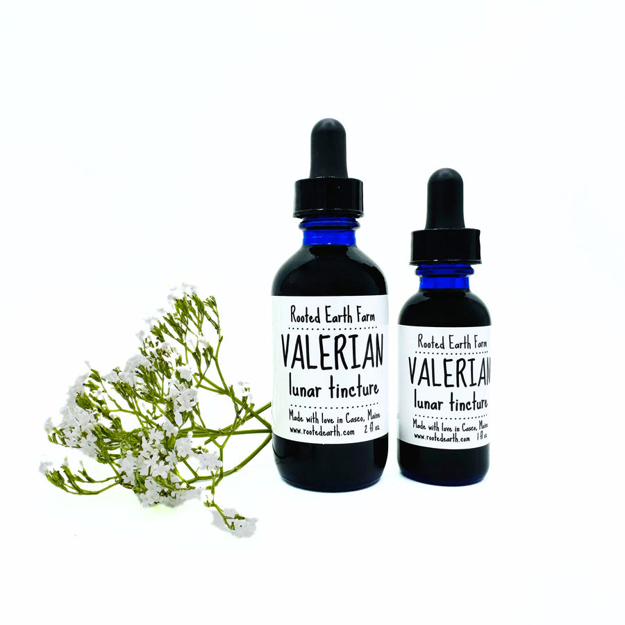 valerian root tincture