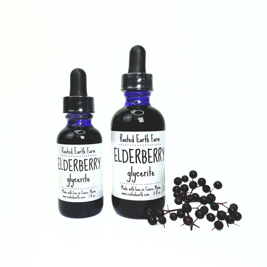 vegan non gmo elderberry extract, elderberry glycerite, elderberry supplement for immunity