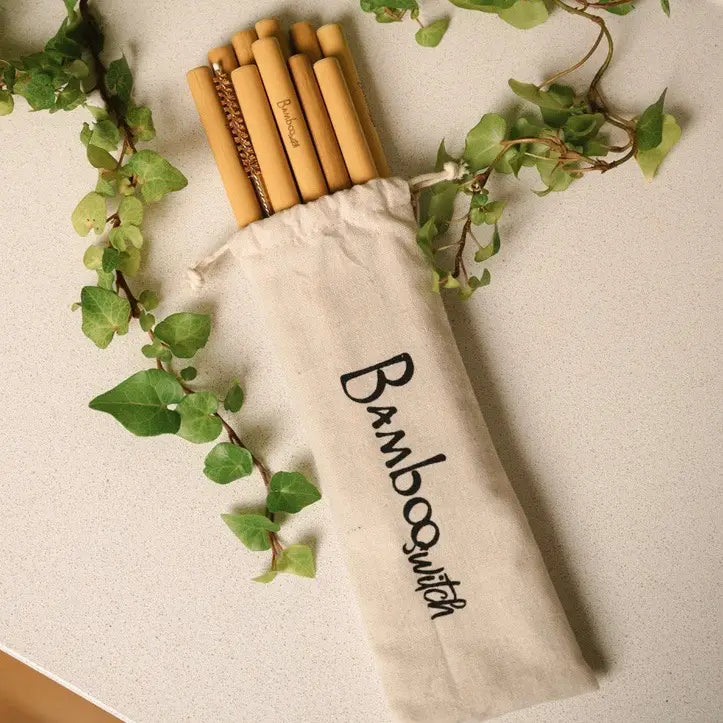Organic Bamboo Straws (10) + Coconut Fiber Straw Cleaner