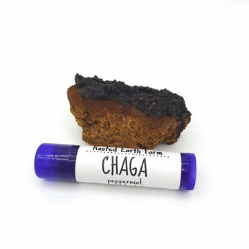 Chaga peppermint Lip Balm