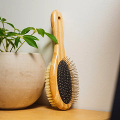 dog and pet grooming brush