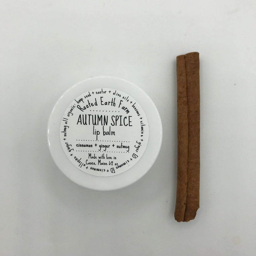 Autumn Spice Lip Balm - Fall Lip Balm - Pumpkin Spice - Herbal Lip Balm - Organic Lip Balm - Natural Lip Gloss - Handmade Lip Balm