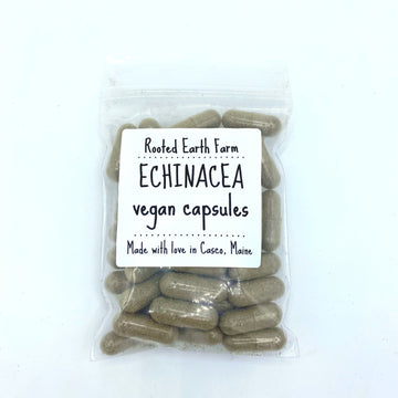 echinacea capsules, echinacea purpurea supplement, echinacea pills