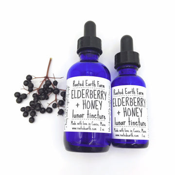 Elderberry Honey Tincture, elderberry extract, gluten free, elderberry syrup