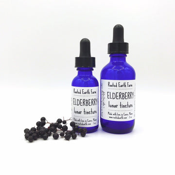 Organic Elderberry Tincture, elderberry supplement, elderberry extract, immune boosting supplement