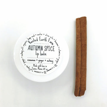 Autumn Spice Lip Balm - Fall Lip Balm - Pumpkin Spice - Herbal Lip Balm - Organic Lip Balm - Natural Lip Gloss - Handmade Lip Balm