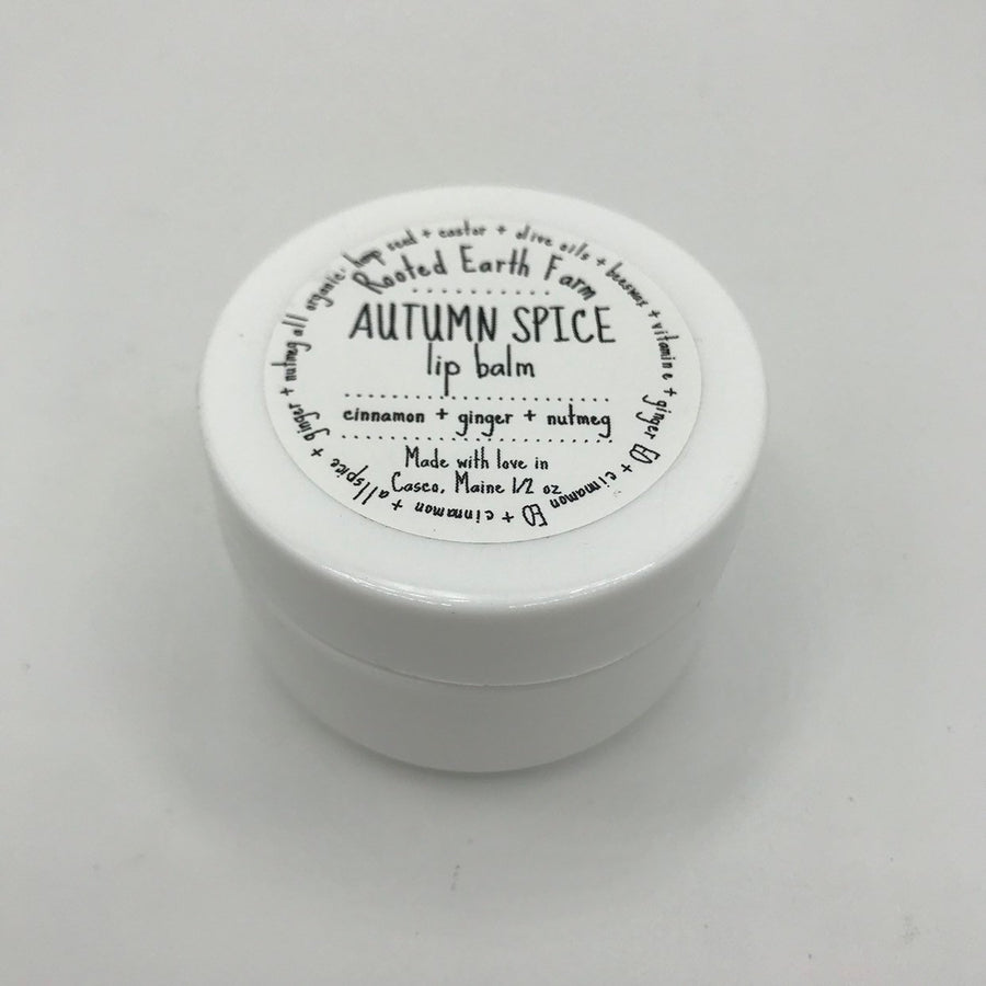 Autumn Spice Lip Balm - Fall Lip Balm - Pumpkin Spice - Herbal Lip Balm - Organic Lip Balm - Natural Lip Gloss - Handmade Lip Balm