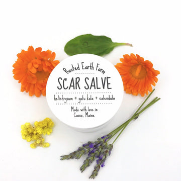 Scar Salve, herbal infused salve for scar, scar cream