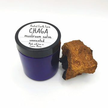 Chaga Salve for dry skin, anti-aging, natural, mushroom infused